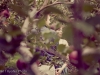engagement02