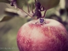 engagement03