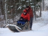 dogsled