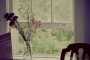 Liz-and-Cyrus-6